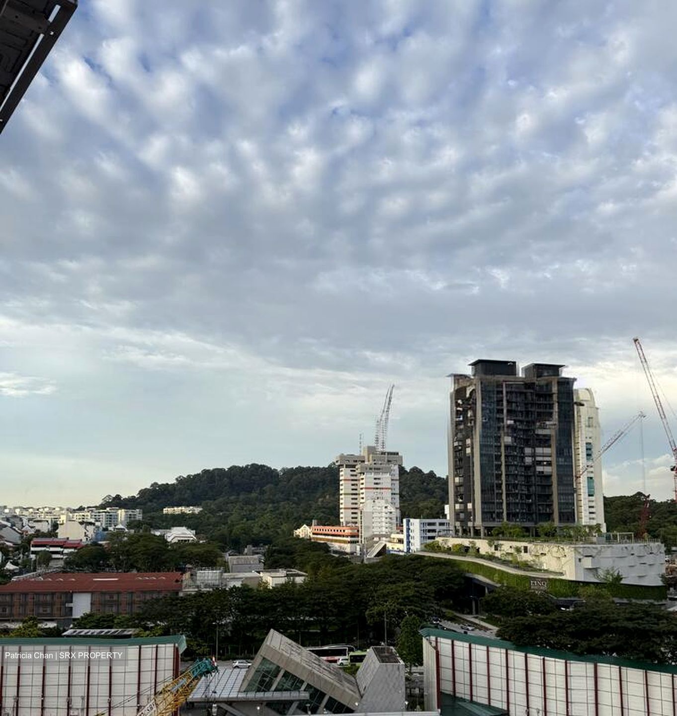 Blk 2 Toh Yi Gardens (Bukit Timah), HDB Executive #506089071
